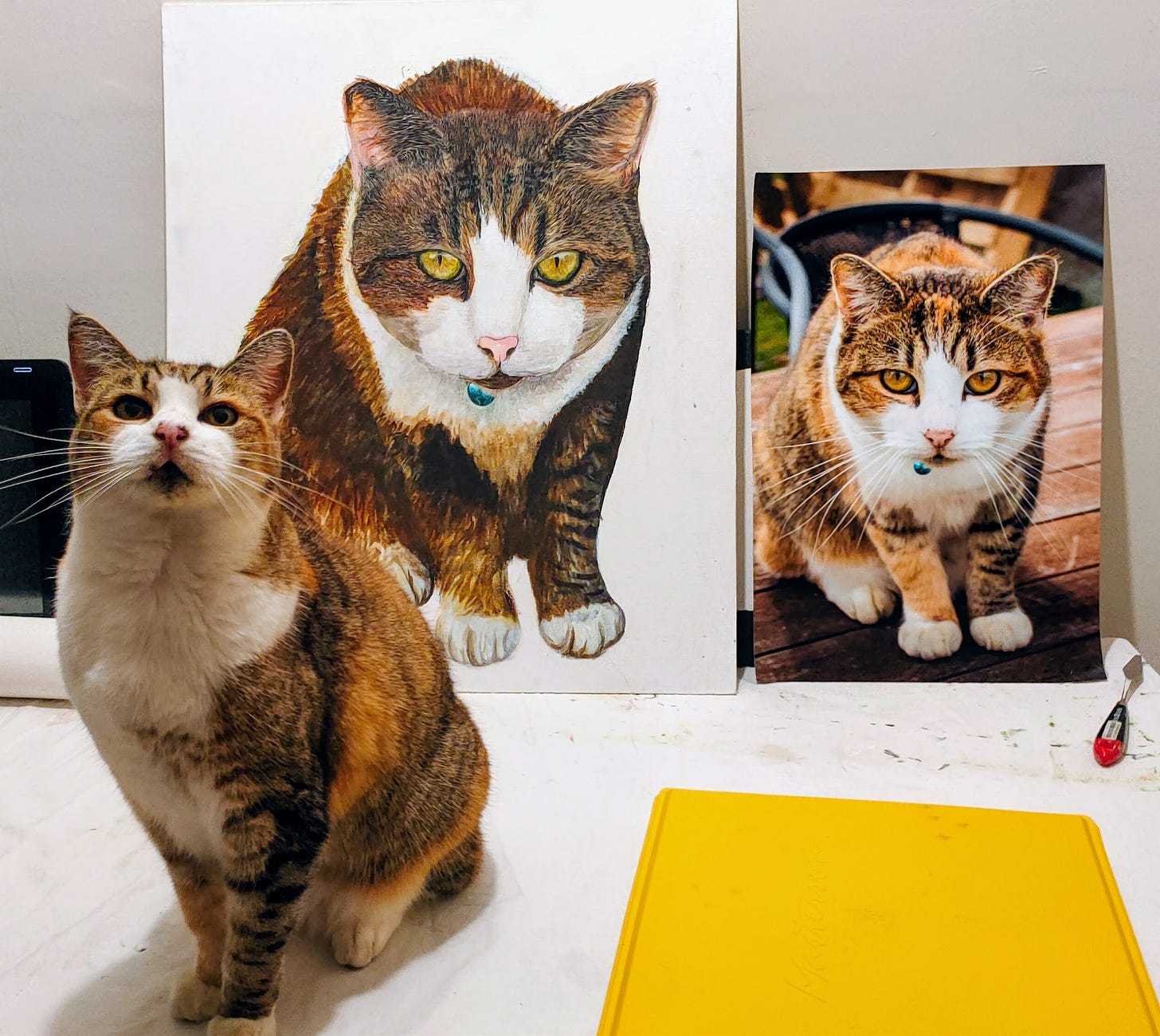 Pictured is a calico cat, a photo of the same cat, and a painting of the photo of the cat.