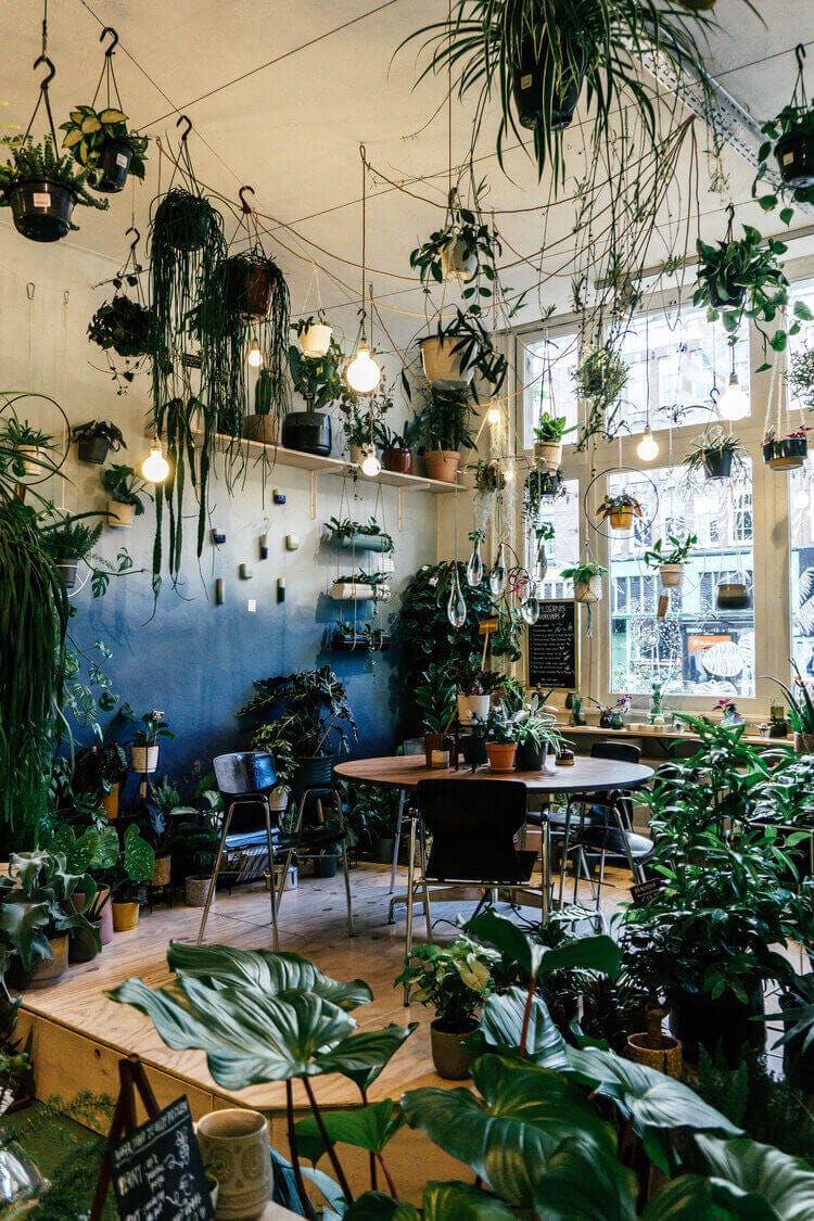 7 stunning restaurants with plant-filled interiors - DesignWanted :  DesignWanted