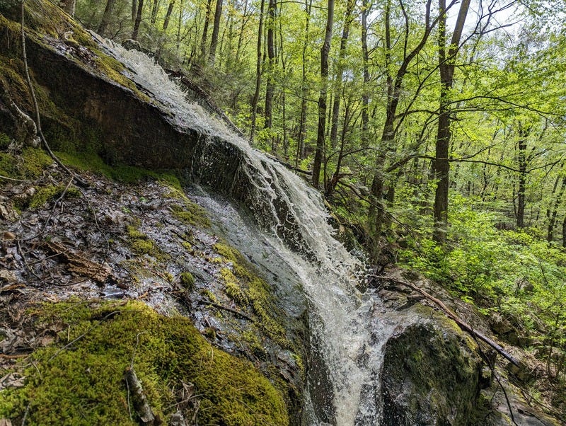 A waterfall flowing over mossy rocks with a forest of deciduous trees in the background