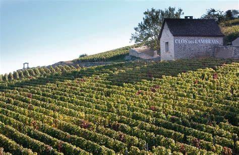 Clos des Lambrays - Vins & Spiritueux - LVMH