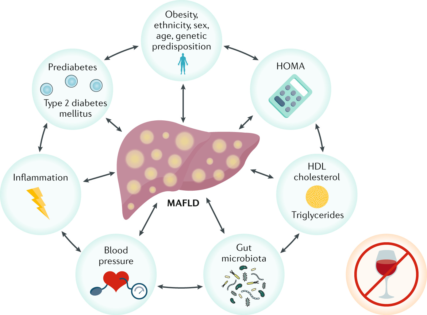 From NAFLD to MAFLD: when pathophysiology succeeds | Nature ...