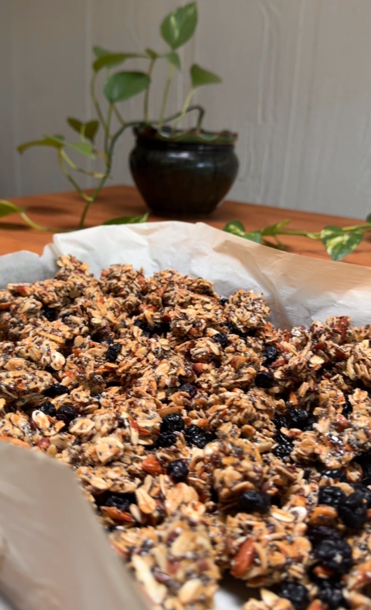 Granola on a parchment lined baking sheet. A potted plant in the background.