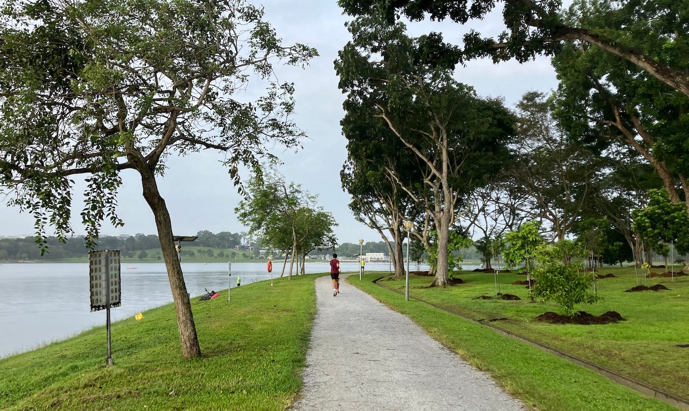 Lone runner on the path, with grass dropping away to the reservoir on the left