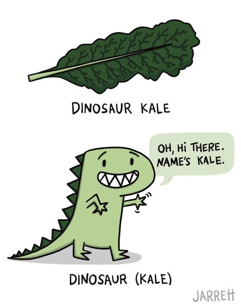 The first frame shows a leaf of dinosaur kale labeled 'dinosaur kale', and the second frame shows a green dinosaur waving, saying "Oh, hi there. My name's Kale." it is captioned, 'dinosaur (kale)'.