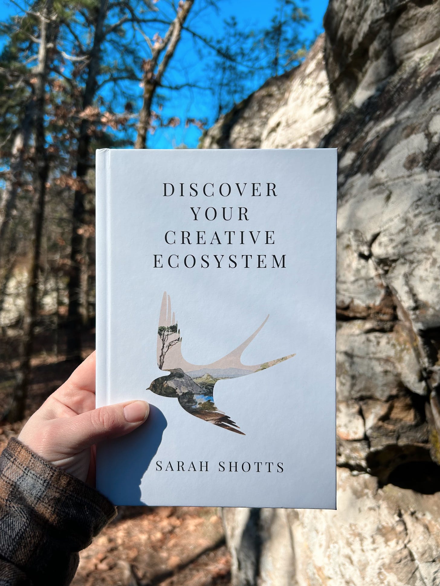 Holding my book Discover Your Creative Ecosystem in the Petit Jean Mountains near tall rocks and pines. The cover has a bird silhouette that is cut out to reveal a watercolor landscape of mountains and trees.