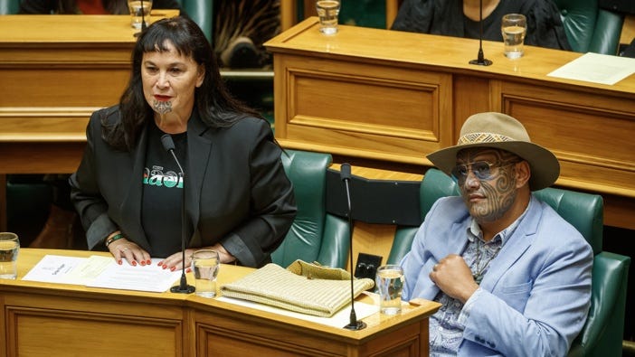 Te Pati Maori co-leaders Debbie Ngarewa-Packer and Rawiri Waititi during Question Time in Parliament, Wellington, 28 May, 2024. Photo / Mark Mitchell