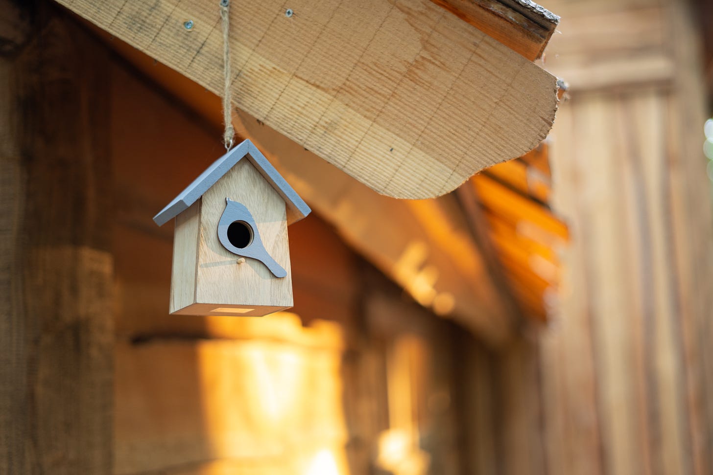 foto de uma casinha de passarinho de madeira com um fundo desfocado, também de madeira, de uma casa