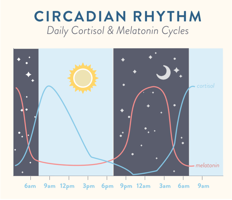 Regulating Circadian Rhythm (and why that's important) - The Paleo Mom