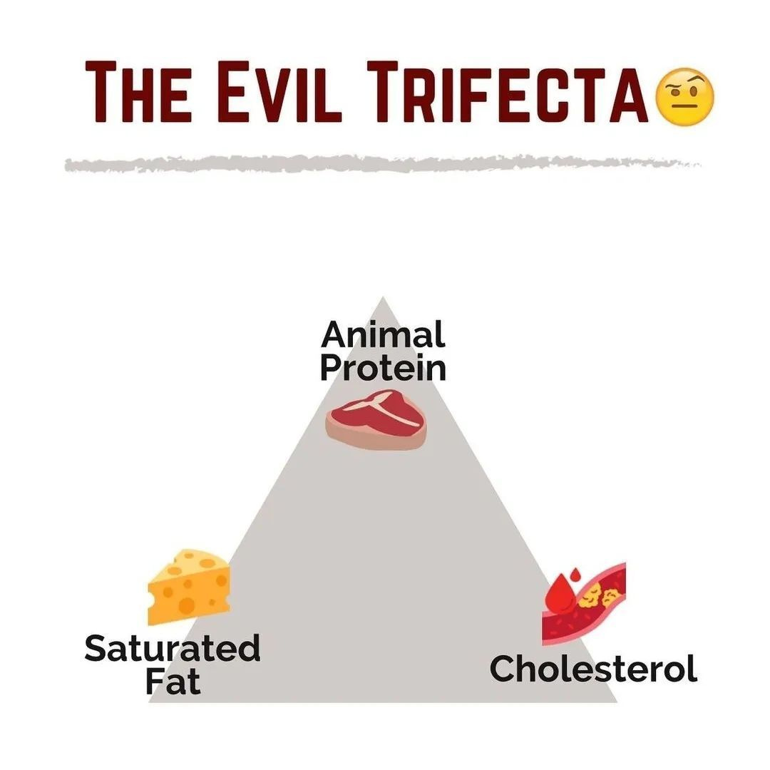 The Skinny on Fat