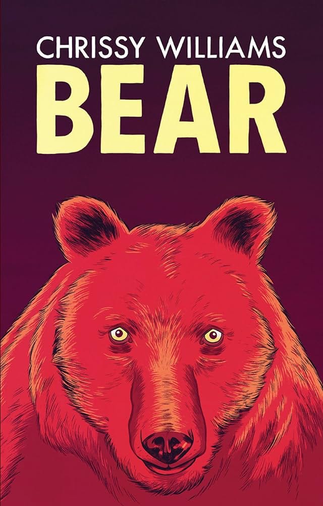 Cover for BEAR, showing a haunted bear, by Tom Humberstone