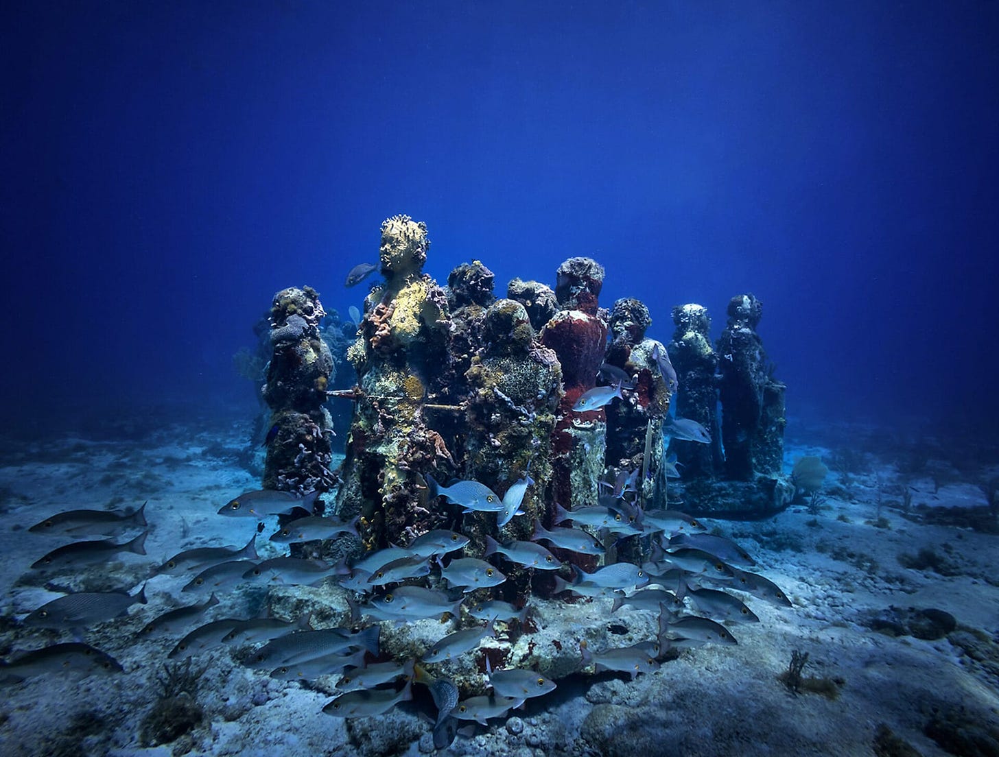 an underwater image of marine animals colonizing figurative sculptures