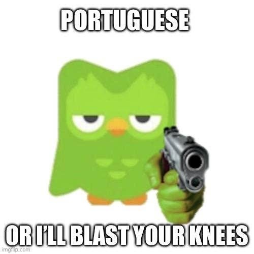 51 Duolingo Memes That Are Funny But Alarming