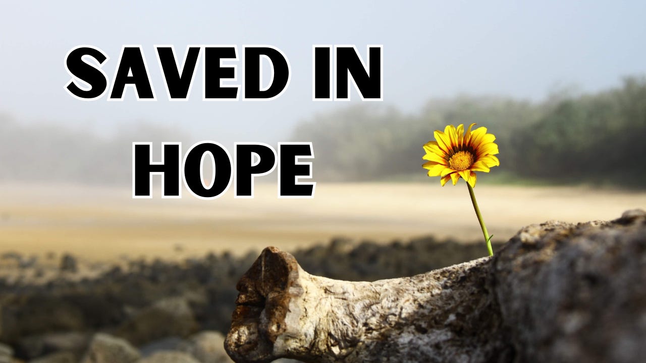 A yellow flower next to the words "Saved in Hope."