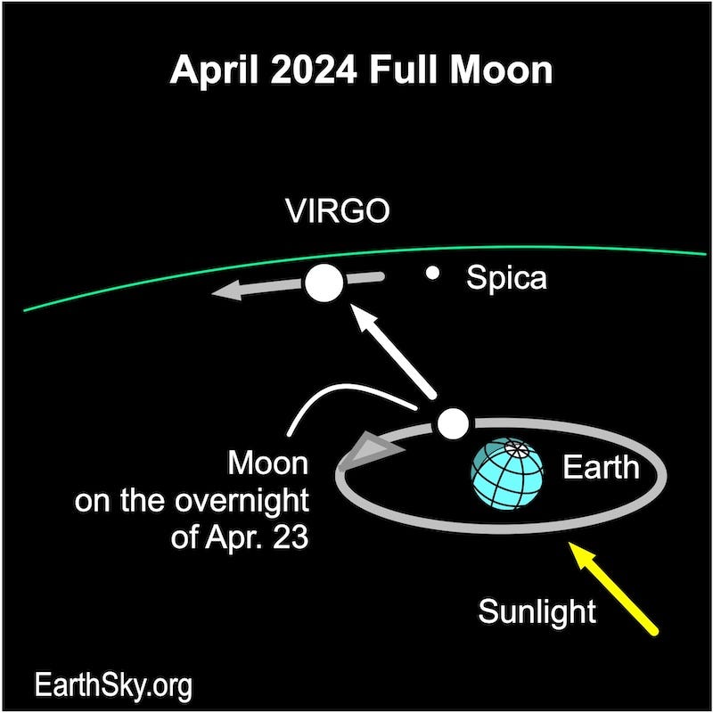 2024 April Full Moon lies in Virgo.