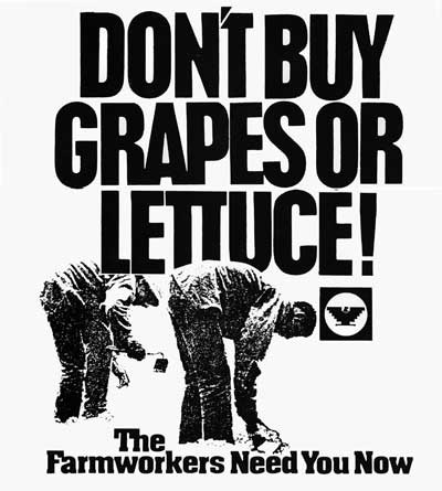 Ad: Don't buy grapes or lettuce! The farmworkers need you now with image of farmworkers picking lettuce