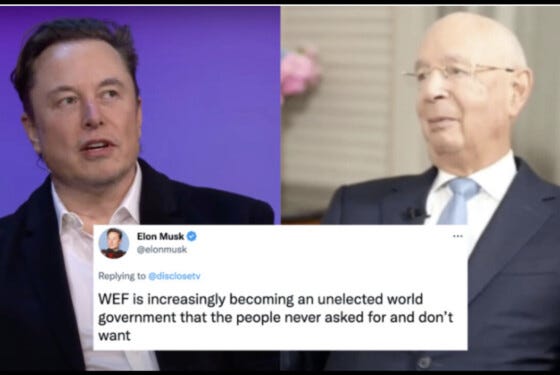 Elon Musk contro Klaus Schwab, Davos ed il World Economic Forum