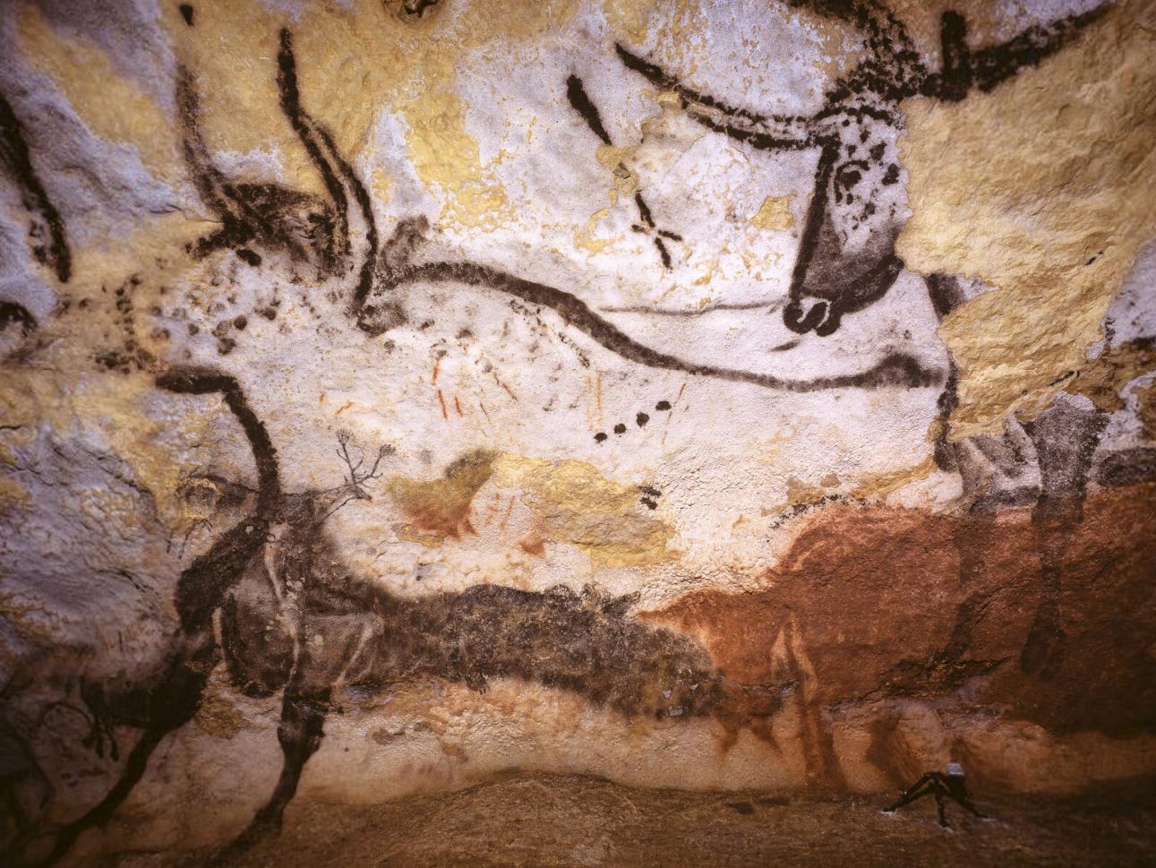 Third Bull, Lascaux, Ministère de la Culture, France