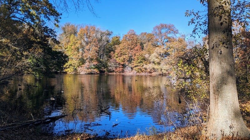 Pond with colorful trees and blue sky reflected in the water