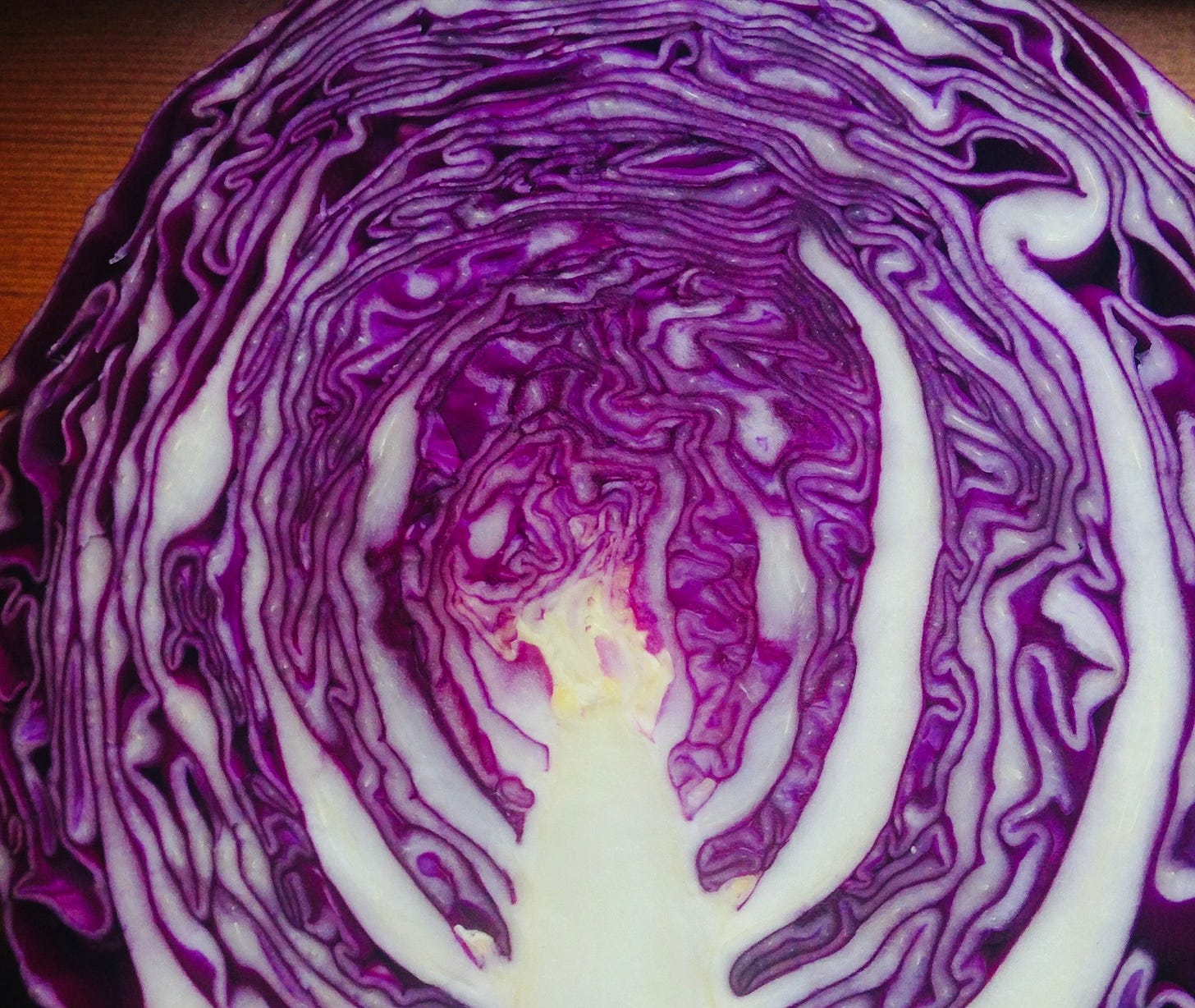 purple cabbage interior