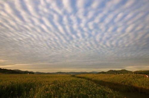 mackerel skies - mackerel sky stock pictures, royalty-free photos & images