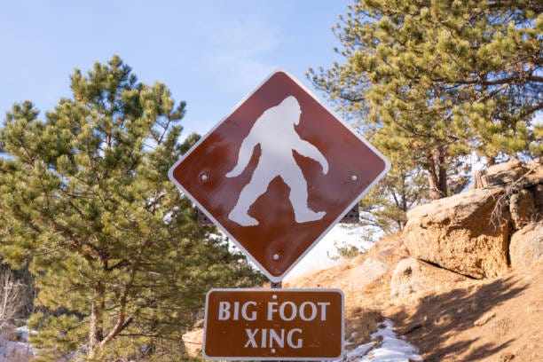 Big Foot Crossing Sign Stock Photo - Download Image Now - Bigfoot, Sasquatch  Crossing Sign, Large - iStock