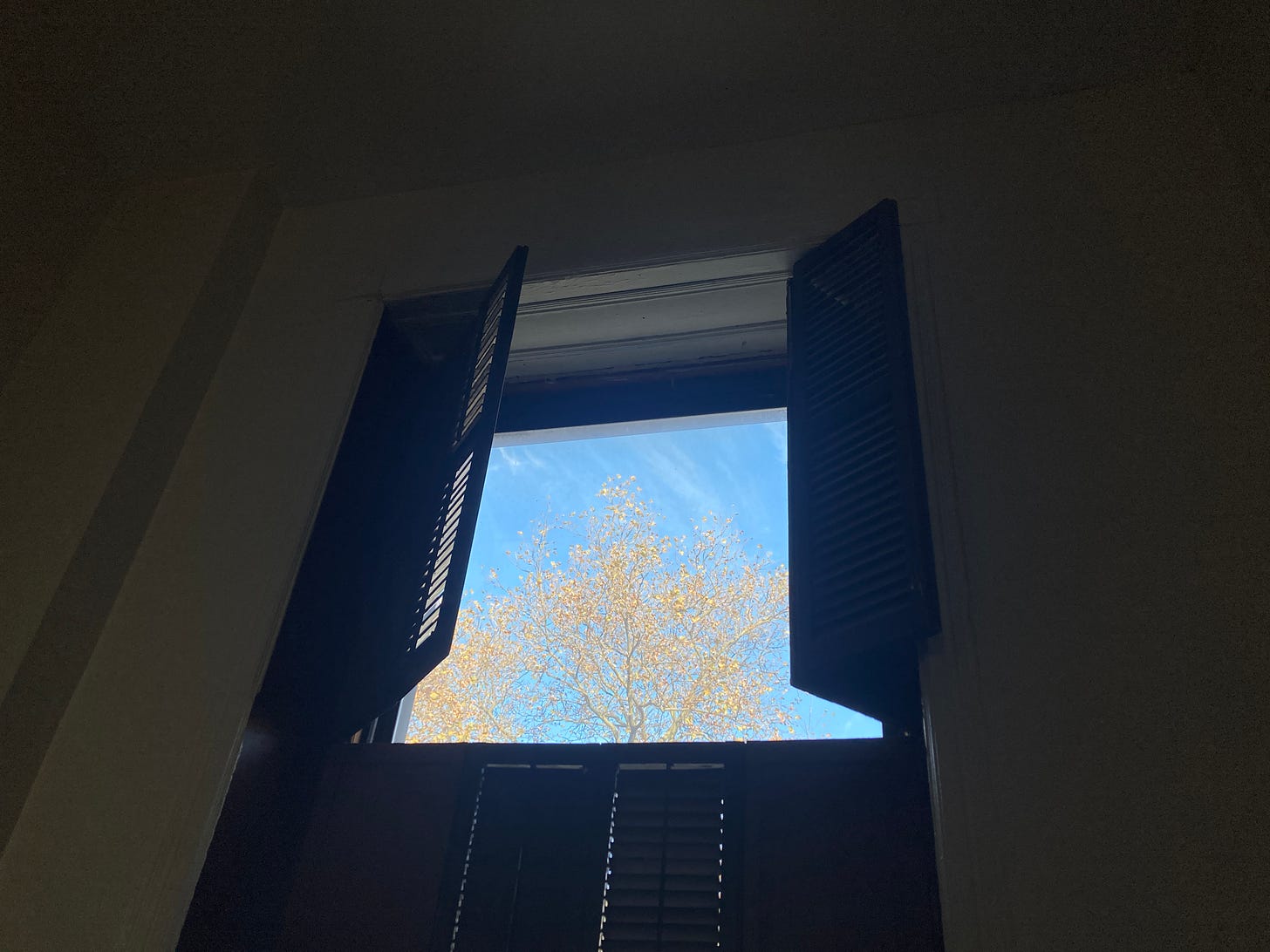 A window with shutters partially open, revealing a view of a tree with yellow leaves against a blue sky.