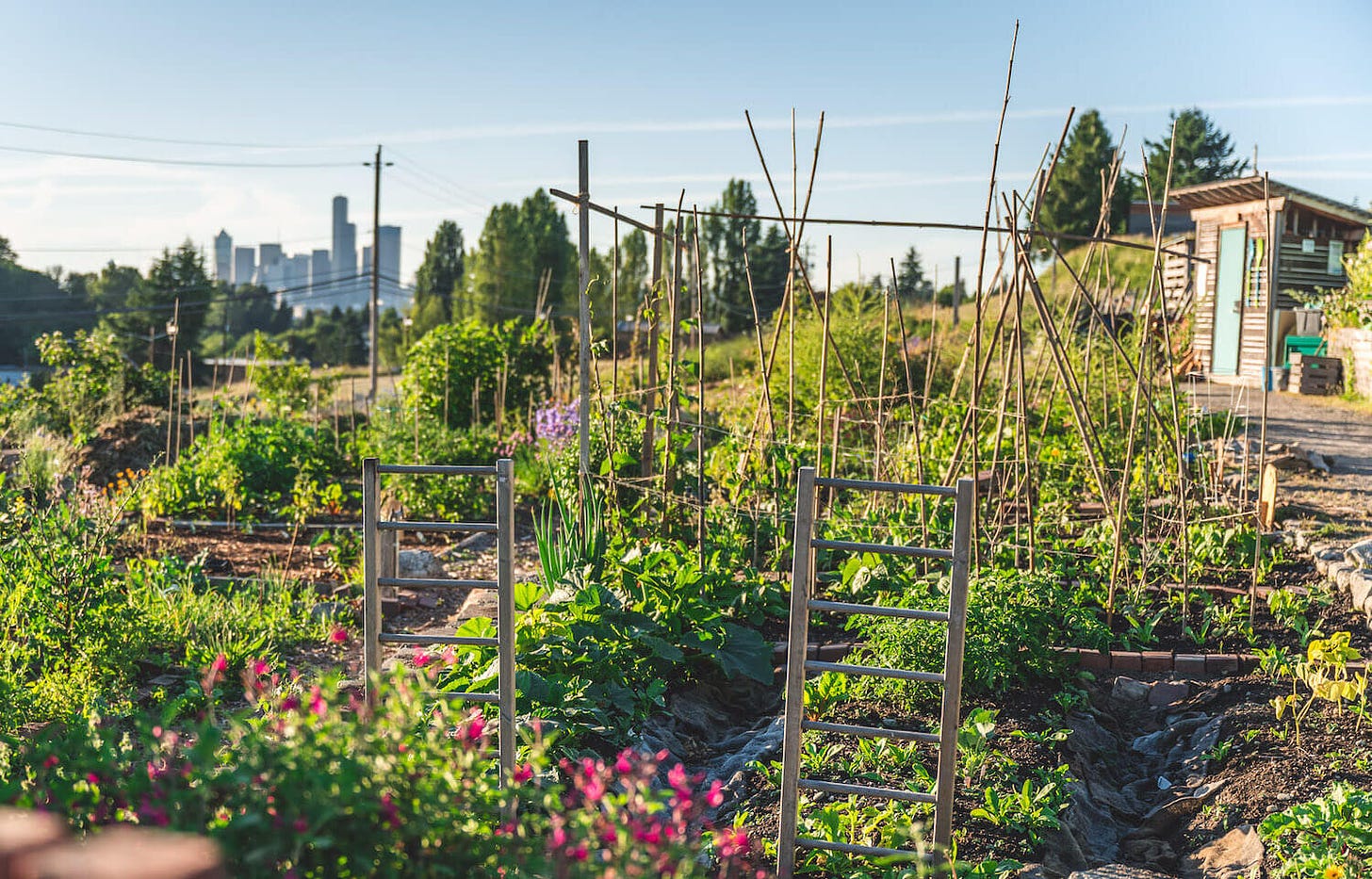 Beacon Food Forest