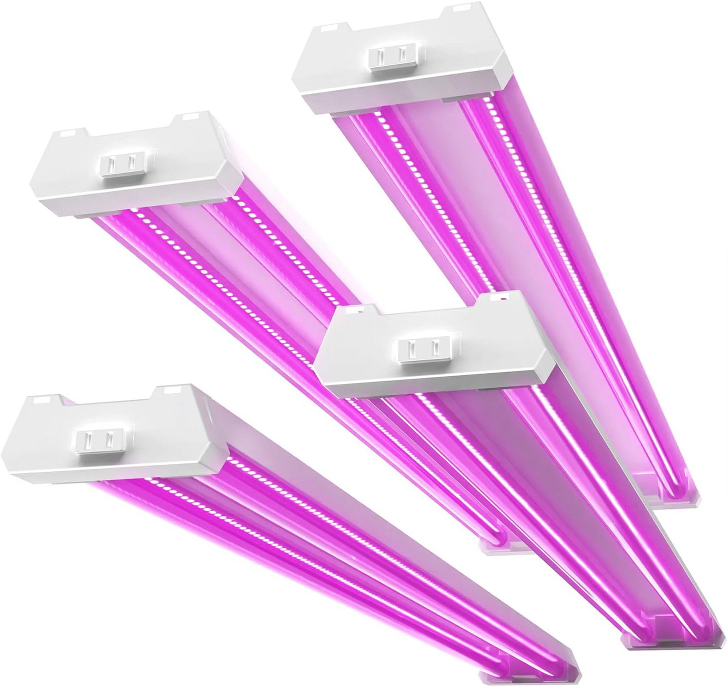 Seed trays under grow lights for indoor seed starting