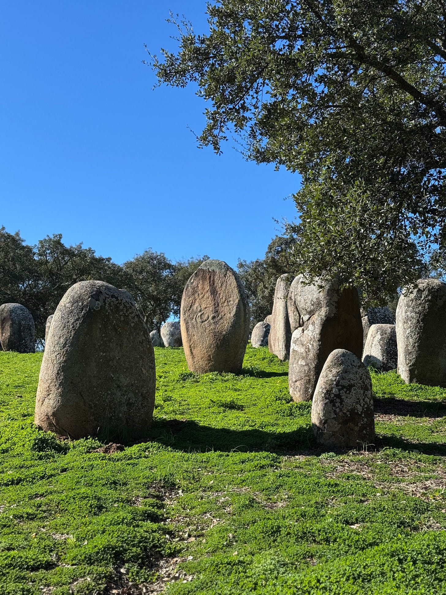 An Engraved Menhir in the Almendres Cromlech