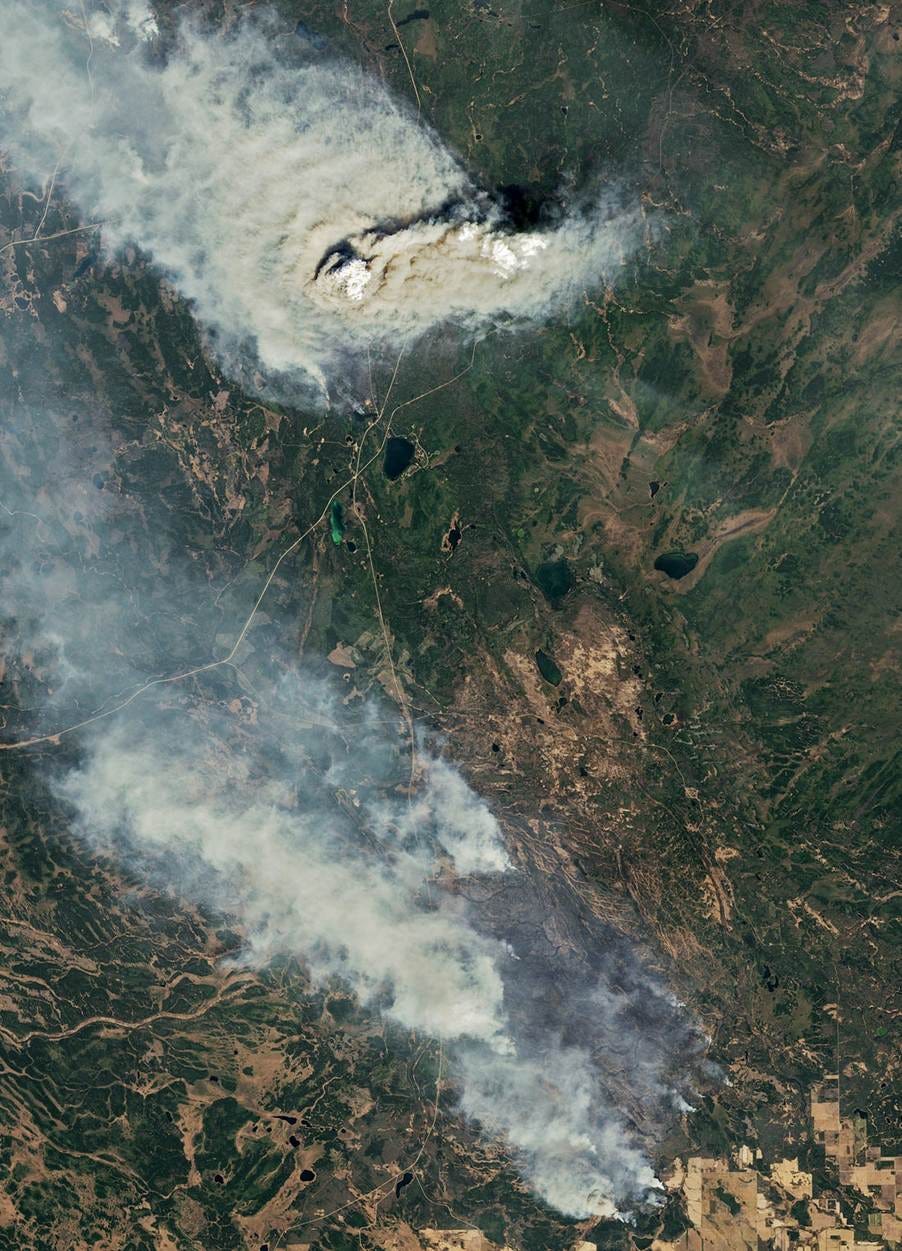 Aerial view of a forest fire

AI-generated content may be incorrect.