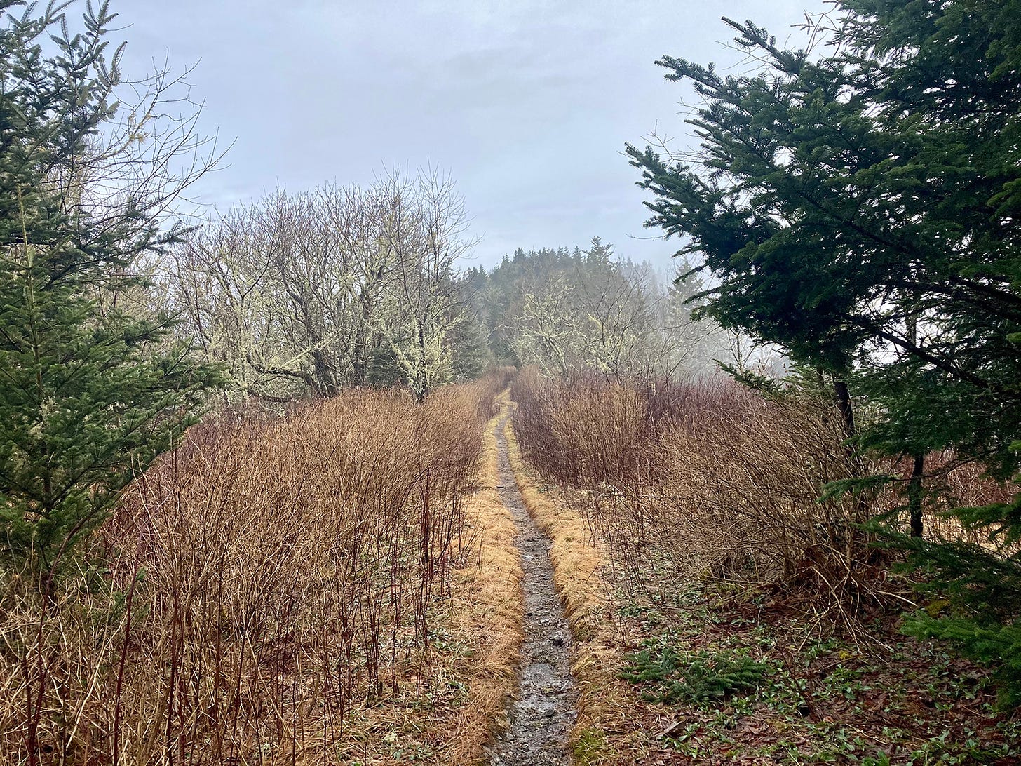 When Elias Wachtel was 18 years old, I decided to hike all 2,193 miles of the Appalachian Trail, from Georgia to Maine. 