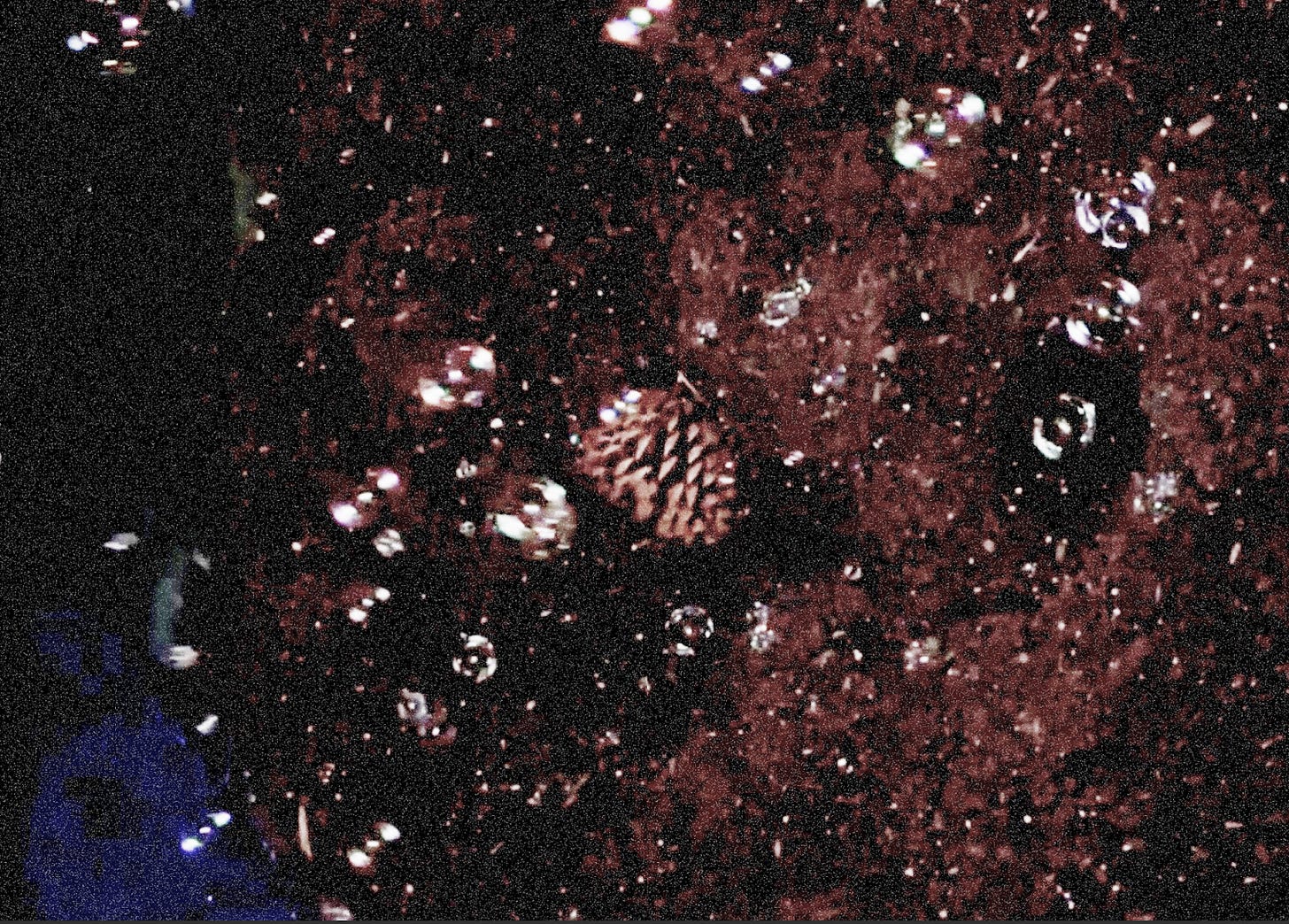 In found soil, in order to bloom (2023) by tomorrow soup. Image Courtesy of Raya Ward.