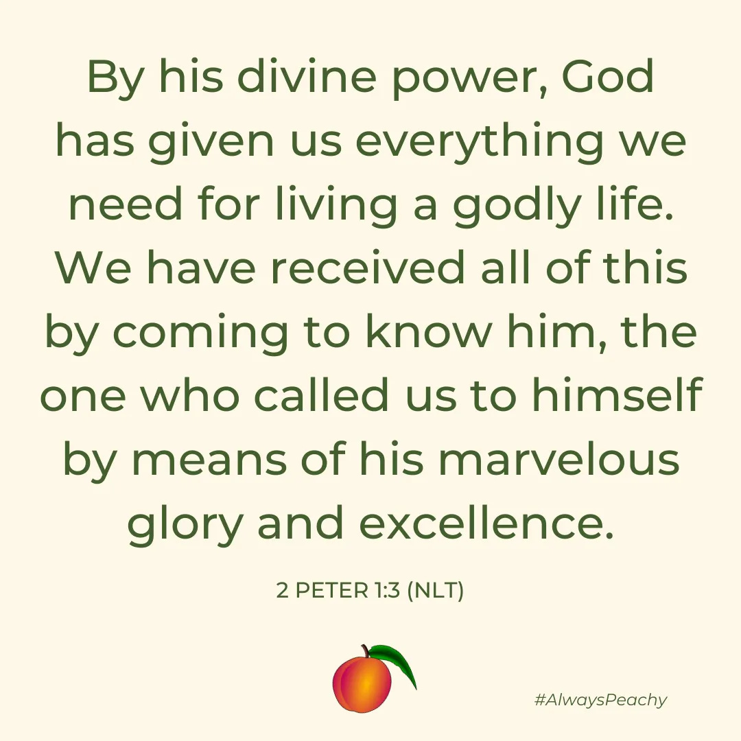 By his divine power, God has given us everything we need for living a godly life. We have received all of this by coming to know him, the one who called us to himself by means of his marvelous glory and excellence. 2 Peter 1:3
