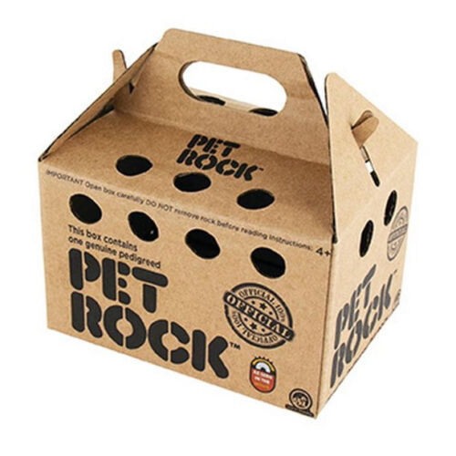 Official PET ROCK Genuine Pedigreed Minions Stone 810010992628 | eBay