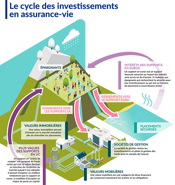 Infographie - Le cycle des investissements en assurance-vie