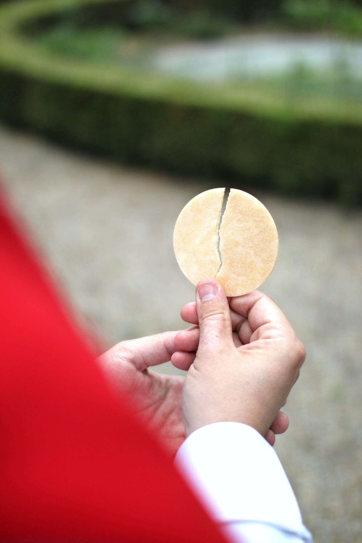 'Healed by the Eucharist' - Minnesota ministry aims to bring communion to survivors