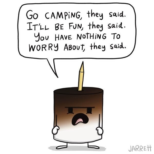 The panel shows a burn marshmallow on a stick with an angry expression. It says, "Go camping, they said. Don't worry, they said. It'll be fun, they said."