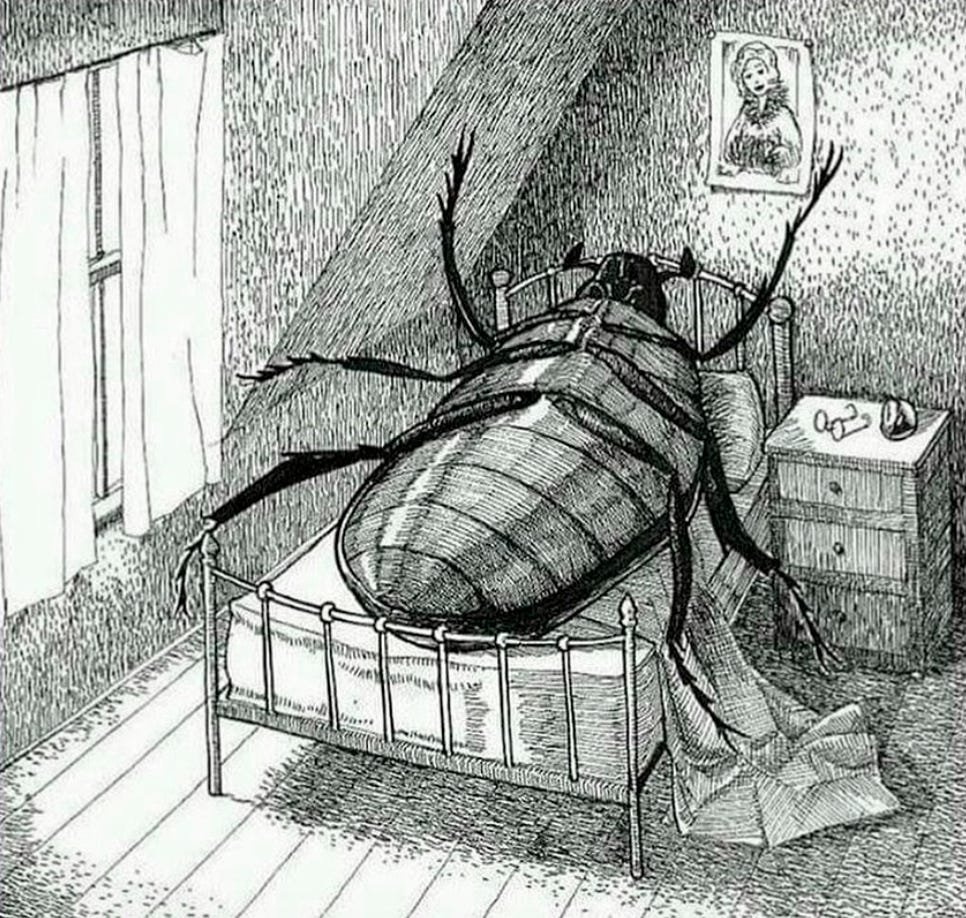 A black and white drawing of a giant human-sized cockroach stranded on its back on a bed.