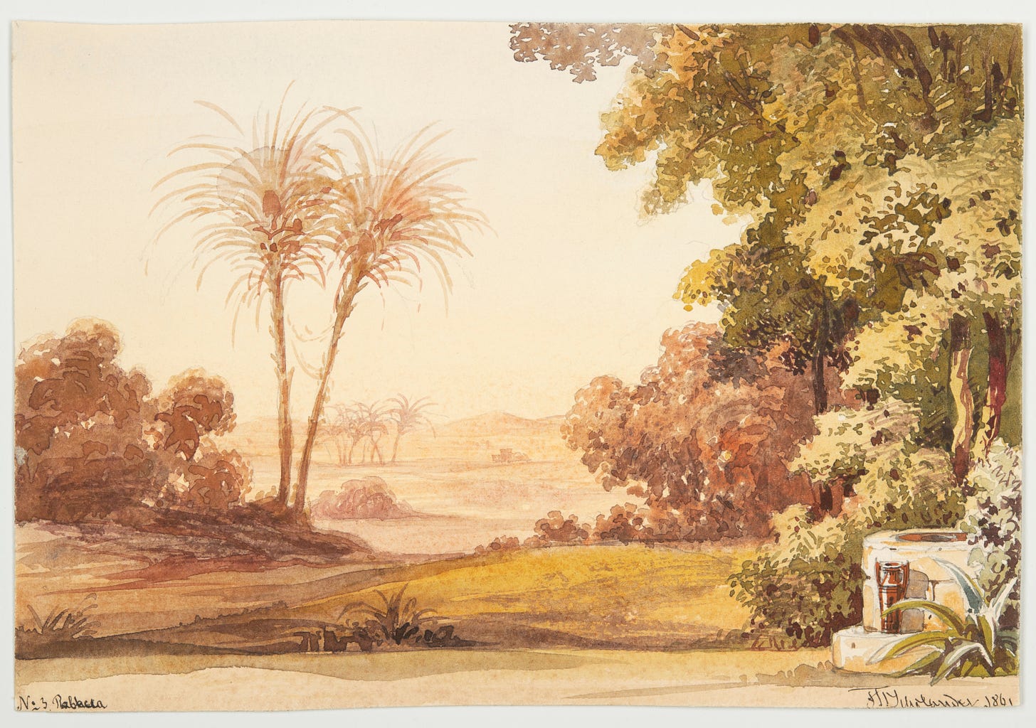 Lanscape showing palm trees and a well.