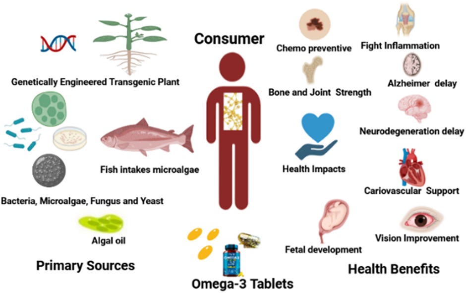 Omega3 fatty acid production by Michael