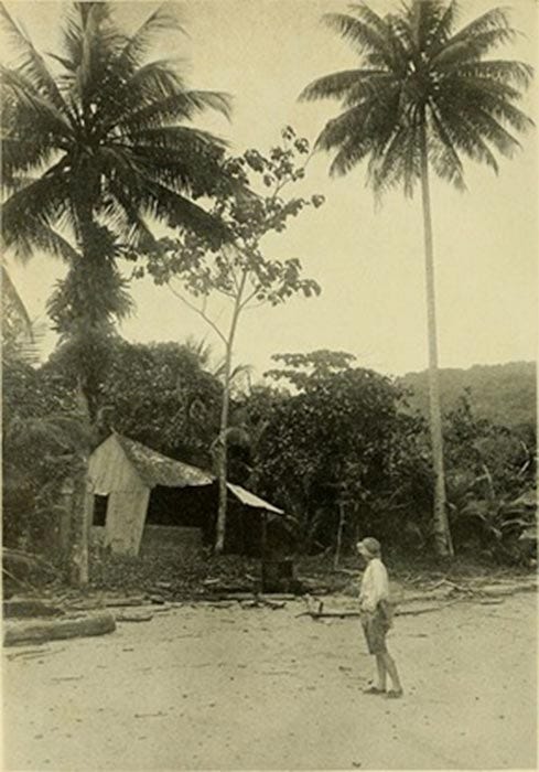 August Gissler was a German adventurer and treasure hunter who lived on Cocos Island (Costa Rica) from 1889 until 1908. (Public Domain).