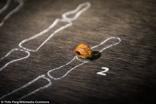 A fragment of finger bone upon a chalk outline of a hand skeleton