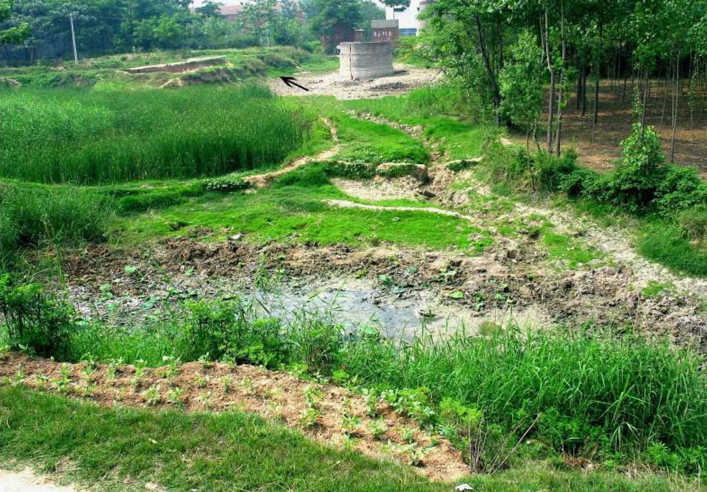 A green area with grass, some standing water, and signs of drainage digging, with a small tree grove and a large concrete structure visible A green area with grass, some standing water, and signs of drainage digging, with a small tree grove and a large concrete structure visible