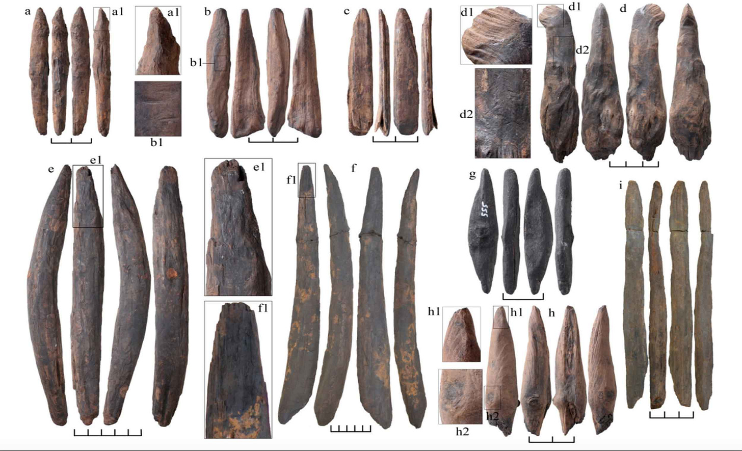 Eight wooden pointed artifacts shown in four views each, and additional closeup images of some of the points. Eight wooden pointed artifacts shown in four views each, and additional closeup images of some of the points.