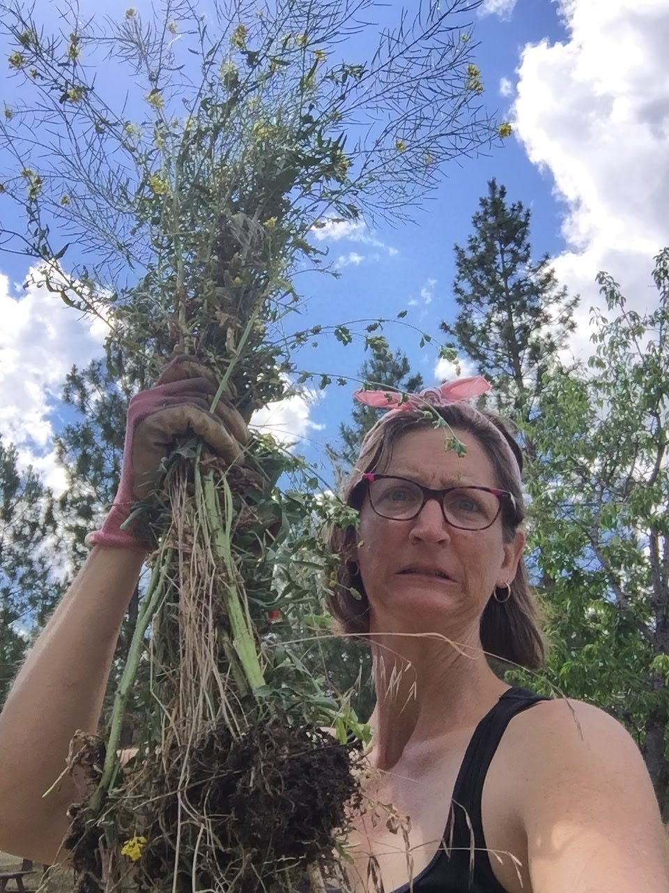 me, wearing a black tanktop with a pink bandana tied in my hair, trying to look tough, holding a fistful of huge weeds against the backdrop of a blue sky with puffy clouds