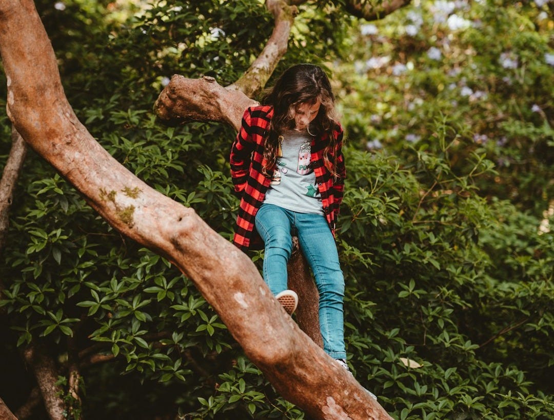 girl sitting on tree branch during daytime girl sitting on tree branch during daytime