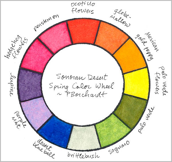 Sonoran Desert Spring Color Wheel (pen & watercolor)