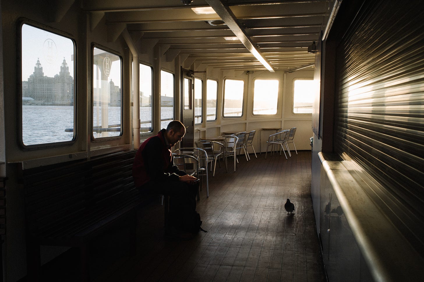 A man sits on the upstairs deck of the ferry while a pigeon walks past.