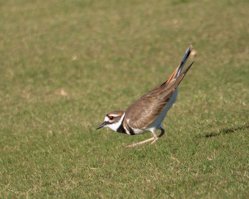 20250324-SGC-151-Edit.jpg