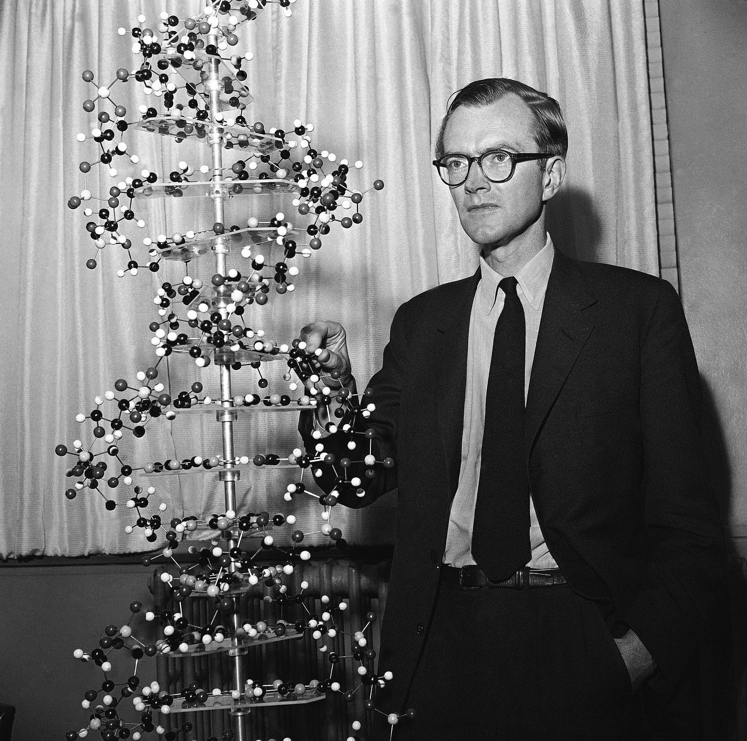  Dr. Maurice Wilkins poses with a model. 